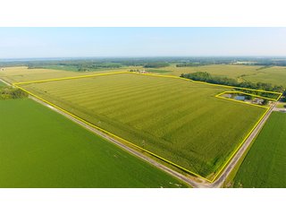 TRACT 3 - ILLINOIS LAND AUCTION - 4,810+/- ACRES OFFERED IN 85 TRACTS IN FRANKLIN, WILLIAMSON, HAMILTON & SALINE COUNTIES, ILLINOIS